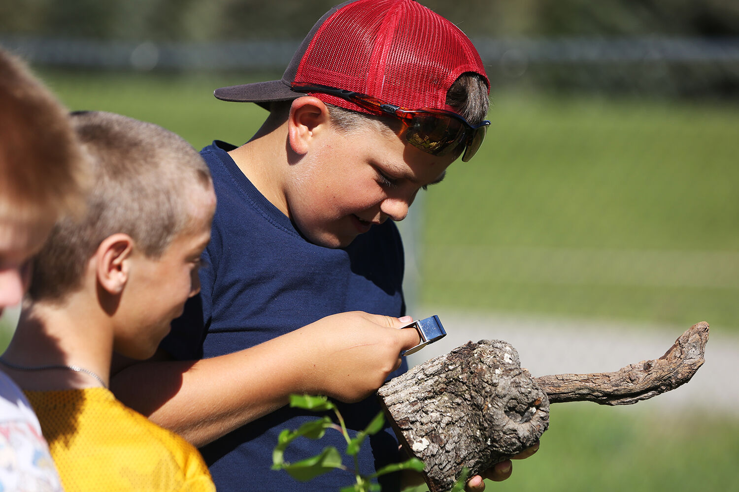 Emmit Morris uses a microscope to look at the end piece of a branch